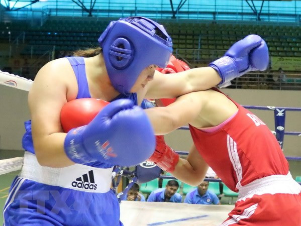 Planea Vietnam desarrollar el boxeo profesional ảnh 1 Planea Vietnam desarrollar el boxeo profesional ảnh 1