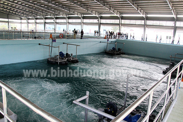 Banco Mundial continuará apoyando a proyectos ambientales en provincia vietnamita ảnh 1 Banco Mundial continuará apoyando a proyectos ambientales en provincia vietnamita ảnh 1