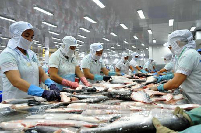 Vietnam, mayor exportador mundial del pescado Tra ảnh 1 Vietnam, mayor exportador mundial del pescado Tra ảnh 1