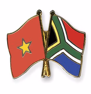 Ofrece Vietnam a sudafricanos becas para estudios científicos ảnh 1