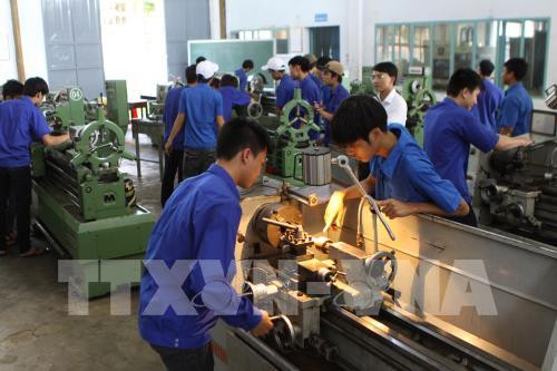Vietnam planea elevar tasa de trabajadores capacitados al 62 por ciento ảnh 1 Vietnam planea elevar tasa de trabajadores capacitados al 62 por ciento ảnh 1