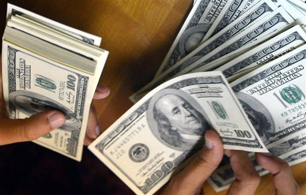 Remesas a Vietnam seguirán creciendo a pesar de la pandemia según pronósticos ảnh 1 Remesas a Vietnam seguirán creciendo a pesar de la pandemia según pronósticos ảnh 1