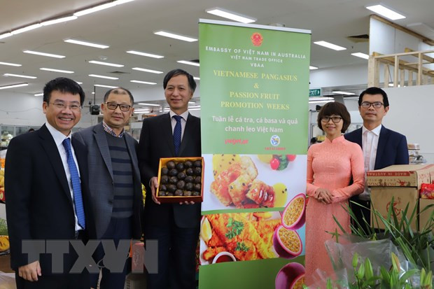 Vietnam busca promover ventas de maracuyá a Australia ảnh 1 Vietnam busca promover ventas de maracuyá a Australia ảnh 1