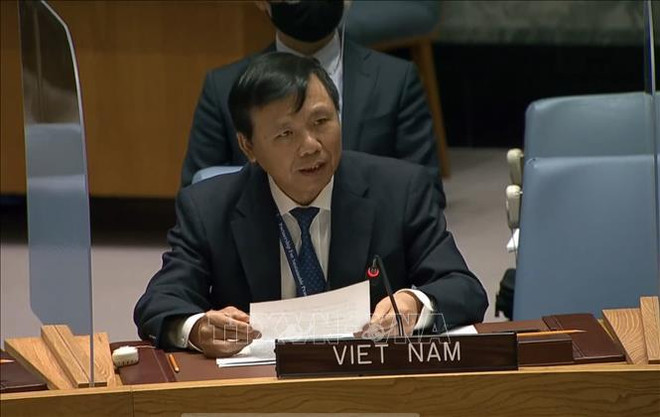 Vietnam apoya a la ONU a reformar su Consejo de Seguridad ảnh 2