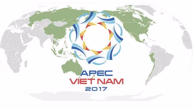 Ciudad Ho Chi Minh logra grandes éxitos en diplomacia durante 2017 ảnh 1