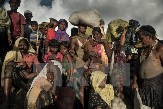 Los primeros rohingyas serán repatriados a Bangladesh en enero de 2018 ảnh 1