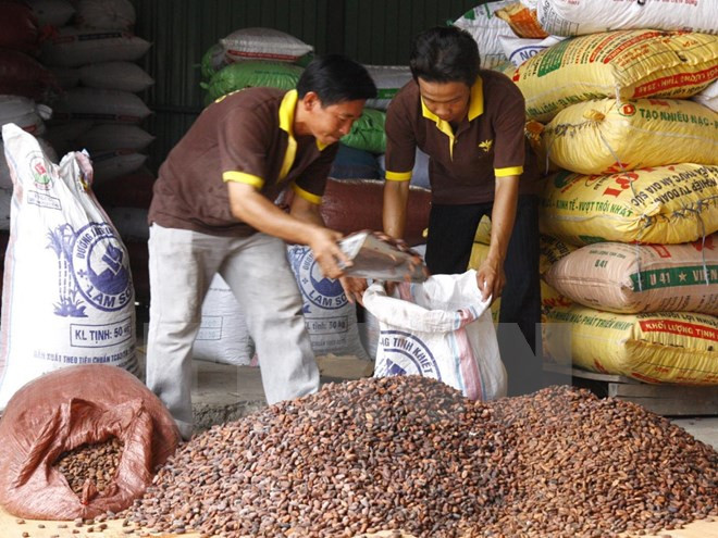 Vietnam suspende importación de cacahuetes de India ảnh 1