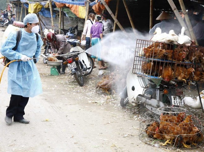 Vietnam acelera medidas preventivas contra gripe aviar H7N9 ảnh 1 Vietnam acelera medidas preventivas contra gripe aviar H7N9 ảnh 1