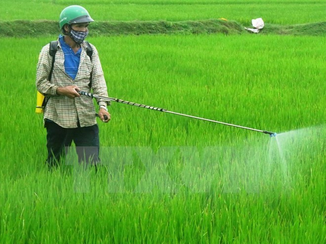 Aclaran nuevas regulaciones en sector agrícola vietnamita para empresas estadounidenses ảnh 1 Aclaran nuevas regulaciones en sector agrícola vietnamita para empresas estadounidenses ảnh 1