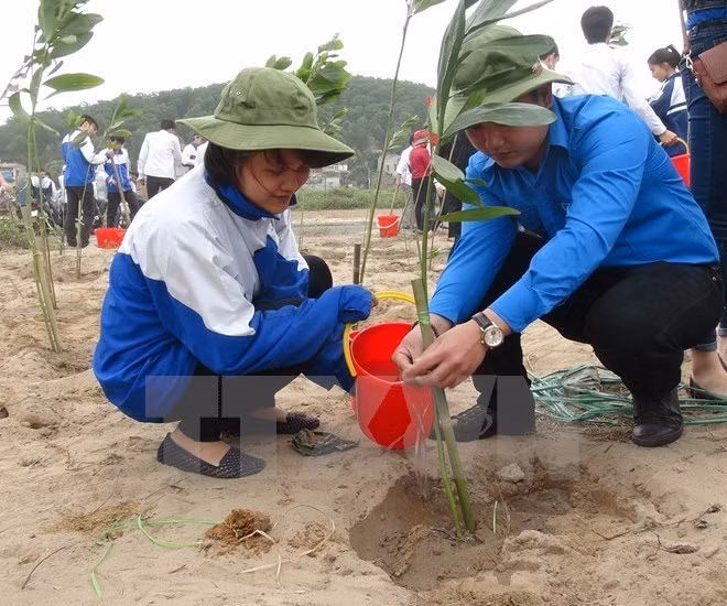 Proyecto estadounidense ayuda a proteger medioambiente en Vietnam ảnh 1 Proyecto estadounidense ayuda a proteger medioambiente en Vietnam ảnh 1