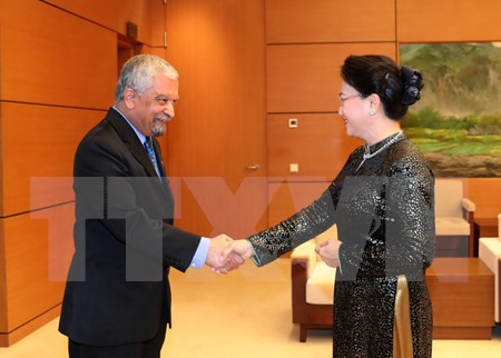 Presidenta legislativa resalta labor de ONU en Vietnam ảnh 1 Presidenta legislativa resalta labor de ONU en Vietnam ảnh 1