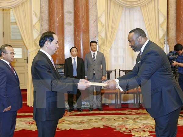 Presidente de Vietnam recibe a nuevos embajadores ảnh 5 Presidente de Vietnam recibe a nuevos embajadores ảnh 5