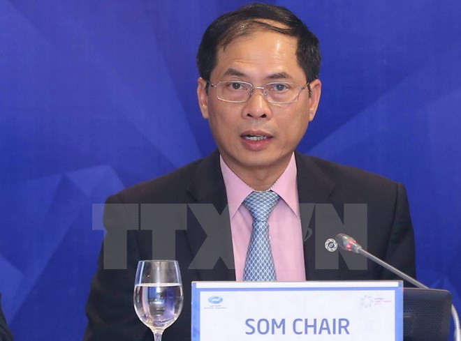 Vietnam contribuye activamente a asuntos de APEC 2017 ảnh 1 Vietnam contribuye activamente a asuntos de APEC 2017 ảnh 1