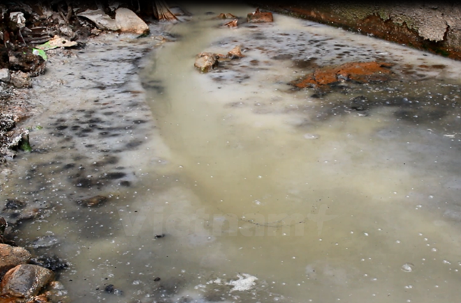 Múltiples actividades en Vietnam por días mundiales de medio ambiente ảnh 1 Múltiples actividades en Vietnam por días mundiales de medio ambiente ảnh 1