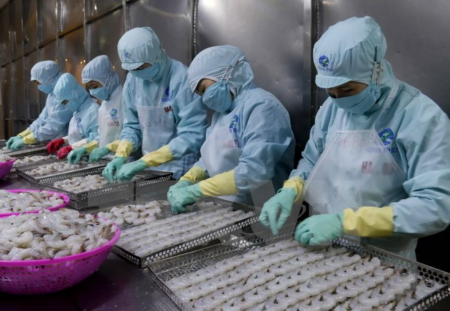 Merman ventas al exterior de productos acuícolas de Vietnam ảnh 1 Merman ventas al exterior de productos acuícolas de Vietnam ảnh 1