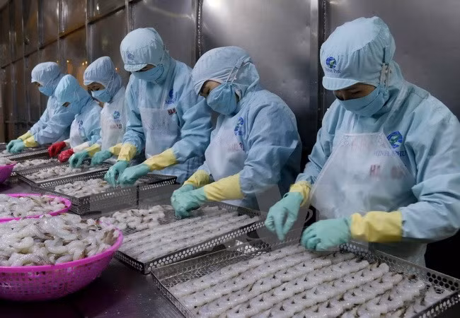 Merman ventas al exterior de productos acuícolas de Vietnam ảnh 1