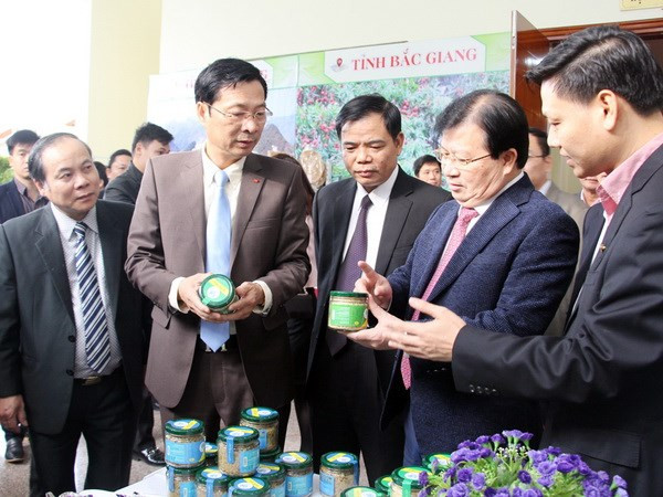 Vicepremier urge a desarrollar productos ventajosos de Quang Ninh ảnh 1 Vicepremier urge a desarrollar productos ventajosos de Quang Ninh ảnh 1