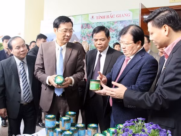 Vicepremier urge a desarrollar productos ventajosos de Quang Ninh ảnh 1