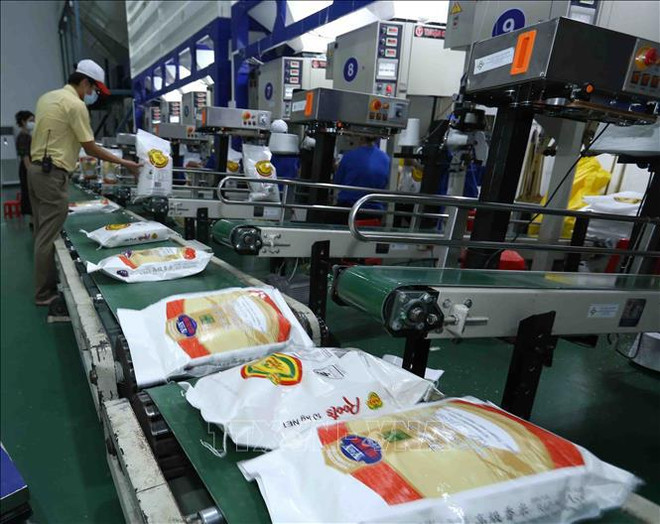 Gran oportunidad para el futuro de exportación de arroz vietnamita ảnh 1 Gran oportunidad para el futuro de exportación de arroz vietnamita ảnh 1
