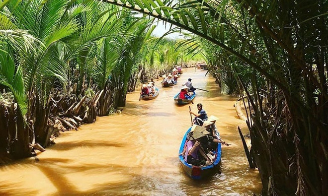Provincia de Ben Tre por fortalecer ecoturismo ảnh 2 Provincia de Ben Tre por fortalecer ecoturismo ảnh 2