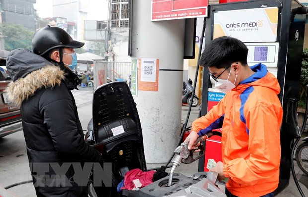 Resiliencia de la economía vietnamita amenazada por “tormenta de precios” ảnh 1
