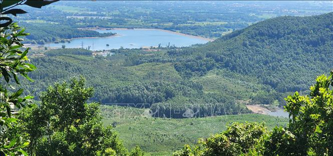 Vietnam aprueba Programa de Desarrollo Forestal Sostenible para período 2021-2025 ảnh 2 Vietnam aprueba Programa de Desarrollo Forestal Sostenible para período 2021-2025 ảnh 2