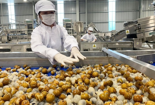 Vietnam por convertirse en uno de los 10 principales centros de procesamiento agrícola del mundo para 2030 ảnh 2