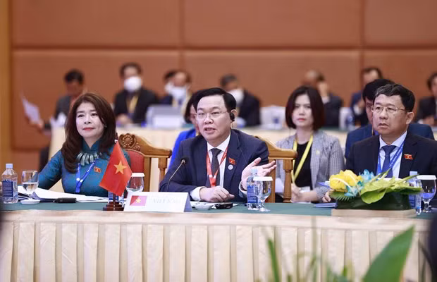 Vietnam asiste a la reunión del Comité Ejecutivo de AIPA ảnh 1