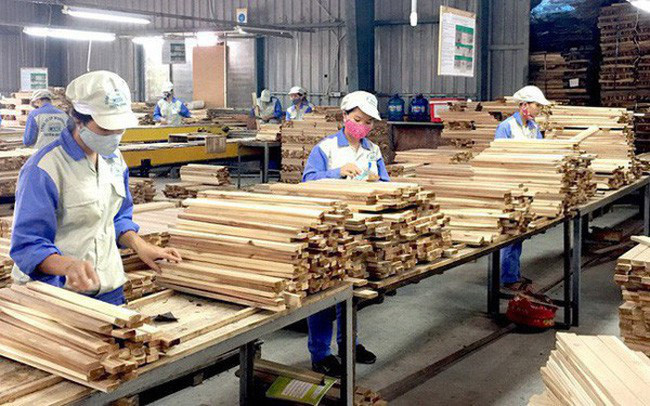 Exportaciones del sector maderero de Vietnam por lograr 20 mil millones de dólares para 2025 ảnh 2 Exportaciones del sector maderero de Vietnam por lograr 20 mil millones de dólares para 2025 ảnh 2