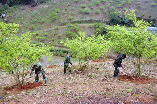 Tareas clave por el desarrollo socioeconómico en zonas fronterizas terrestres de Vietnam ảnh 2 Tareas clave por el desarrollo socioeconómico en zonas fronterizas terrestres de Vietnam ảnh 2