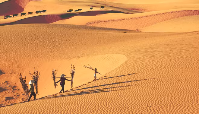 Encanto de las dunas de arena de Binh Thuan en Vietnam ảnh 1