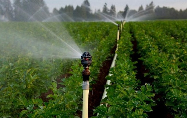 Gran importancia de las aguas subterráneas en sistema acuático ảnh 2