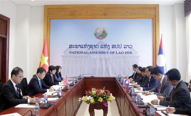 Fortalecen cooperación entre agencias de Parlamentos de Vietnam y Laos ảnh 1