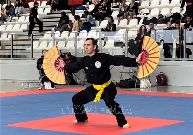Organizan torneo de artes marciales vietnamitas en Francia ảnh 1 Organizan torneo de artes marciales vietnamitas en Francia ảnh 1