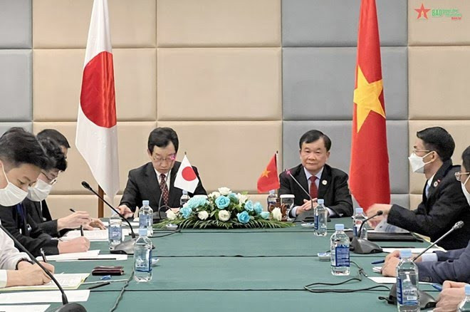 Efectúan reunión bilateral de viceministros de Defensa de Vietnam y Japón ảnh 1