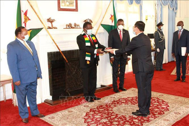 Zimbabue desea desarrollar relaciones con Vietnam en diversos sectores ảnh 1 Zimbabue desea desarrollar relaciones con Vietnam en diversos sectores ảnh 1