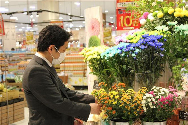 Flores de Vietnam son preferidas de consumidores japoneses ảnh 2 Flores de Vietnam son preferidas de consumidores japoneses ảnh 2