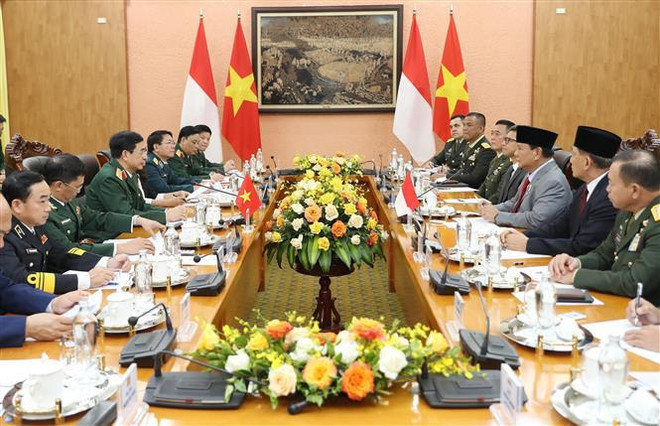 Ministro de Defensa de Indonesia visita Vietnam ảnh 2