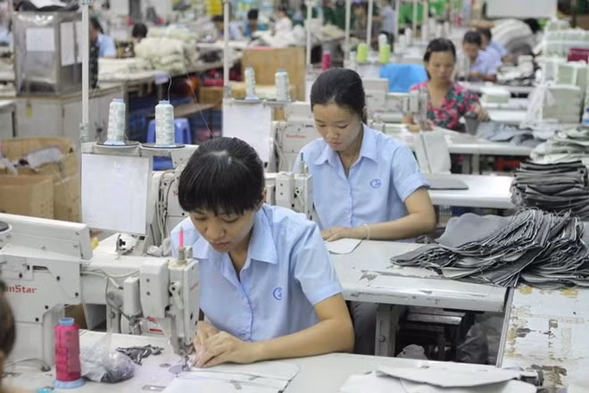 Buscan aumentar exportaciones textiles de Vietnam a Australia tras CPTPP ảnh 1 Buscan aumentar exportaciones textiles de Vietnam a Australia tras CPTPP ảnh 1