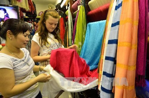 Artesana vietnamita convierte a gusanos de seda en tejedores ảnh 1