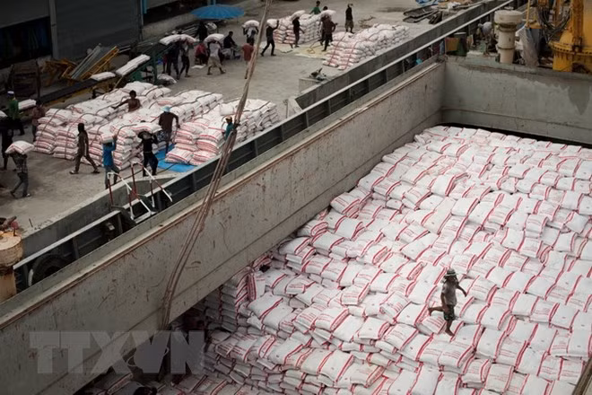 Buenas señales para la exportación de arroz de Vietnam ảnh 1
