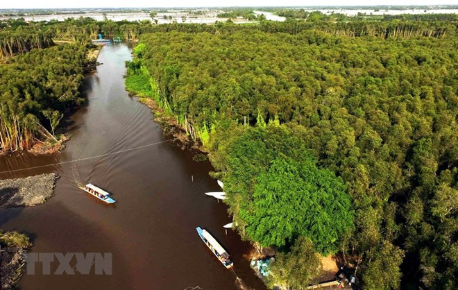 Delta del Mekong en Vietnam: destino de grandes oportunidades para inversores italianos ảnh 1 Delta del Mekong en Vietnam: destino de grandes oportunidades para inversores italianos ảnh 1