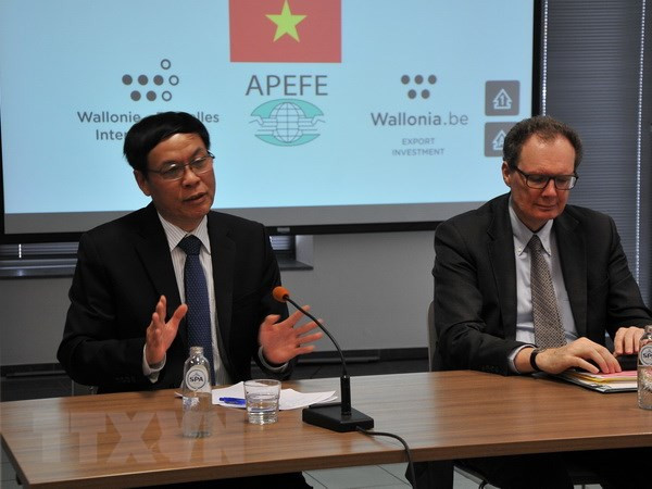 Promueven cooperación entre Vietnam y región Valona-Bruselas de Bélgica ảnh 1 Promueven cooperación entre Vietnam y región Valona-Bruselas de Bélgica ảnh 1