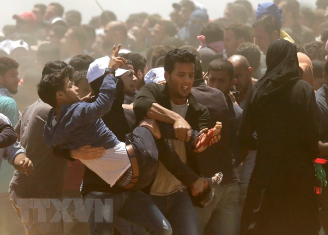 Vietnam expresa condolencia a Palestina por pérdidas humanas durante enfrentamiento en Gaza ảnh 1 Vietnam expresa condolencia a Palestina por pérdidas humanas durante enfrentamiento en Gaza ảnh 1