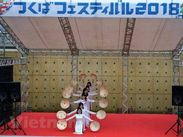 Destacan particularidades culturales de Vietnam en festival en Japón ảnh 1