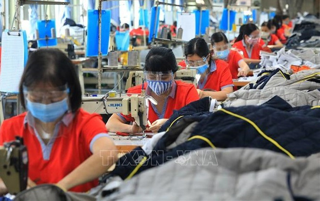 Mercado laboral de Vietnam se recupera en 2022 ảnh 1 Mercado laboral de Vietnam se recupera en 2022 ảnh 1