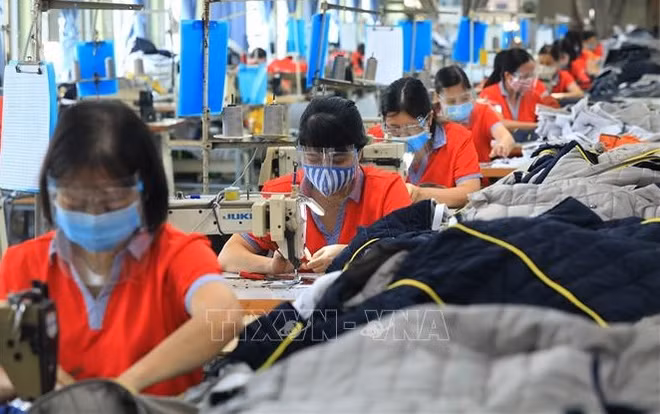 Mercado laboral de Vietnam se recupera en 2022 ảnh 1