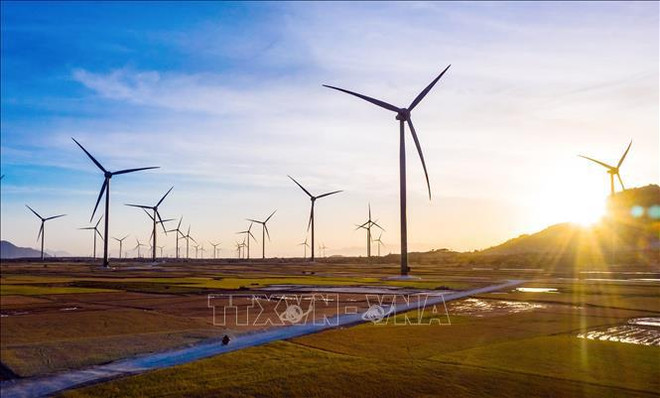  Vietnam podría convertirse en un modelo del crecimiento verde, según representante del PNUD ảnh 1