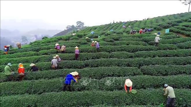 📝 Enfoque: Vietnam se empeña en integrar políticas económicas y sociales ảnh 4 📝 Enfoque: Vietnam se empeña en integrar políticas económicas y sociales ảnh 4