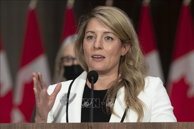 Experto canadiense califica Vietnam como socio estratégico atractivo ảnh 2 Experto canadiense califica Vietnam como socio estratégico atractivo ảnh 2